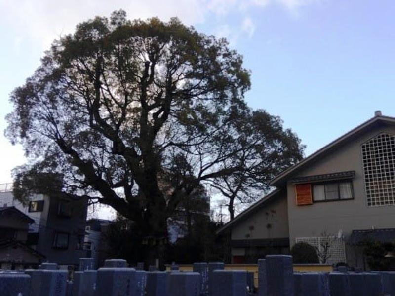法巖寺境内墓地