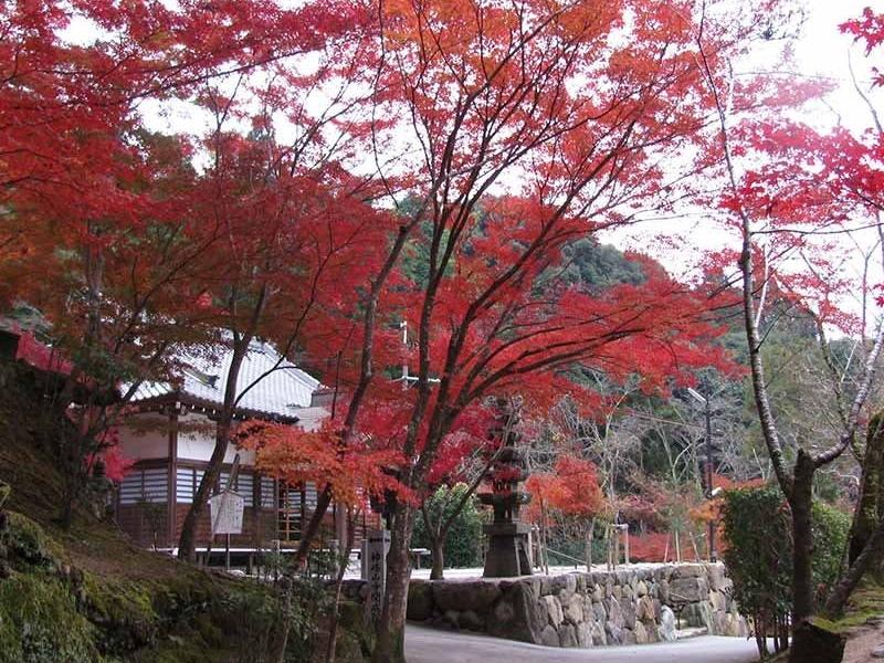 神峯山寺 開成院霊園