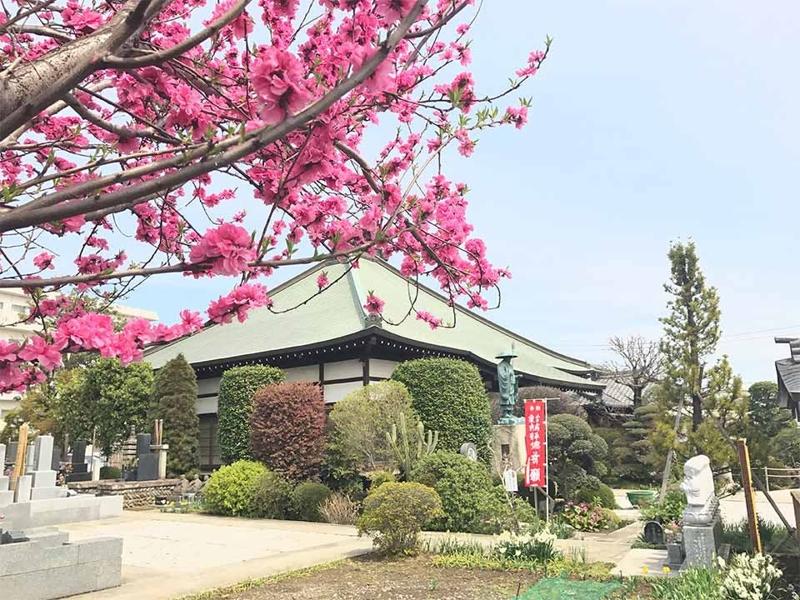 永代供養付樹木庭園墓『蓮華まんだら苑』