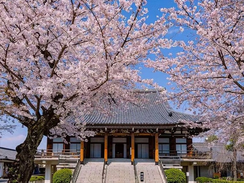 小石川 傳通院