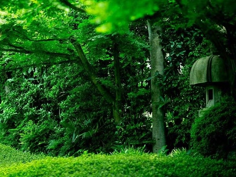 小石川 傳通院