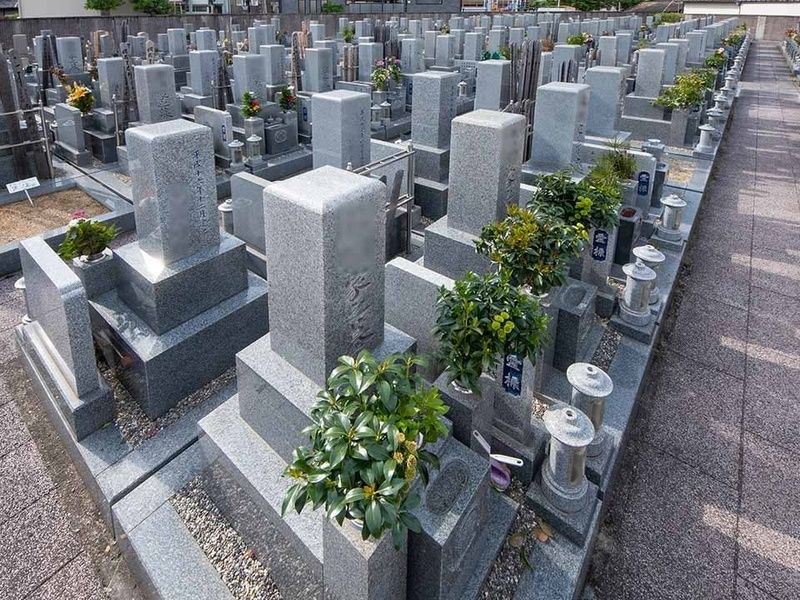 区画はきれいに整備されています。