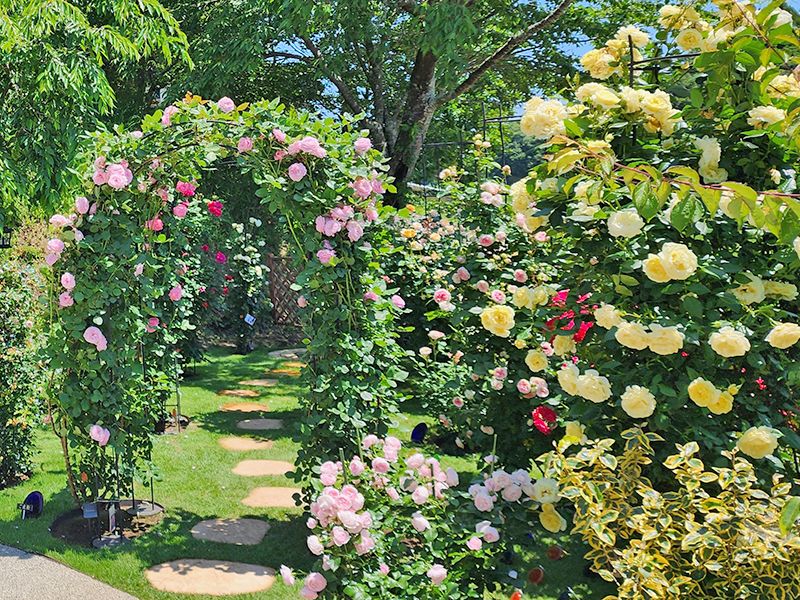 つくば・かすみがうらメモリアルパーク