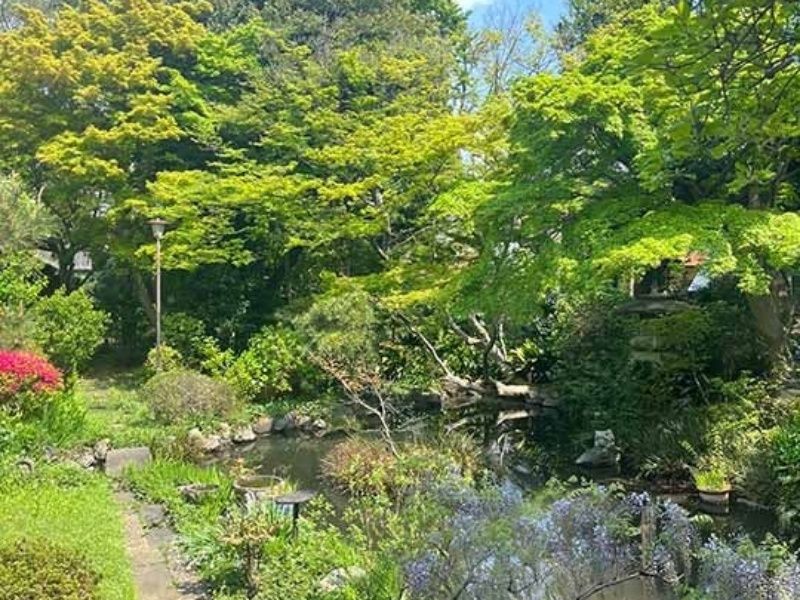 庭園