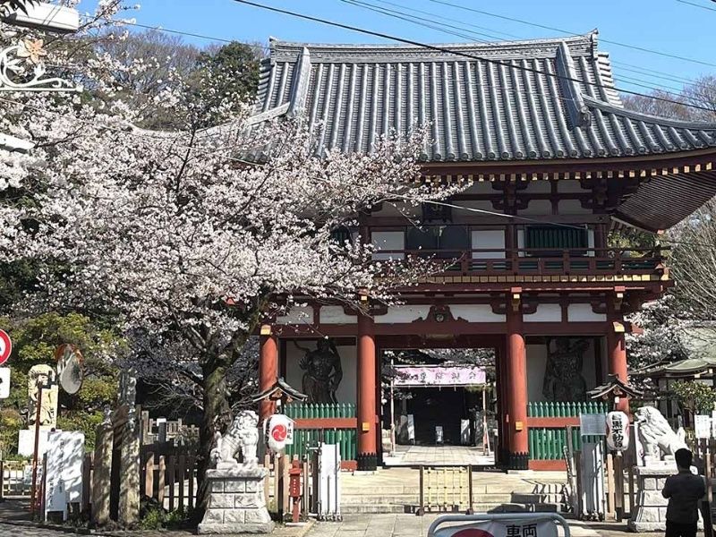 山門
