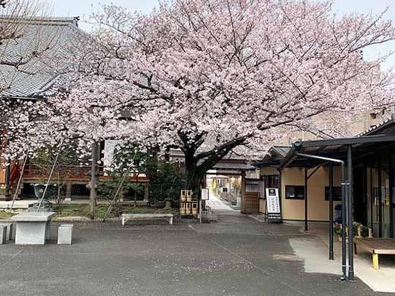 天妙国寺 永代供養納骨堂 鳳凰堂