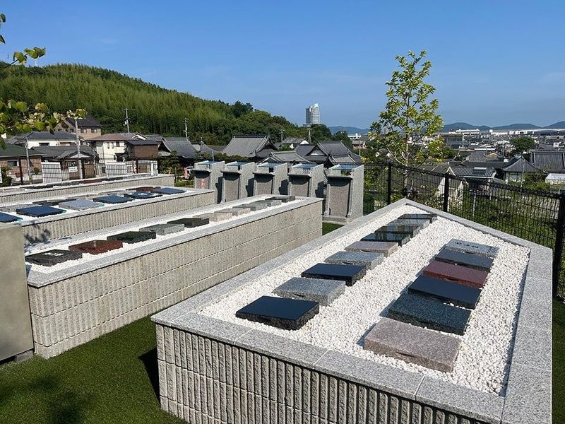 墓域に白石が敷かれた美しい樹木葬タイプもあります