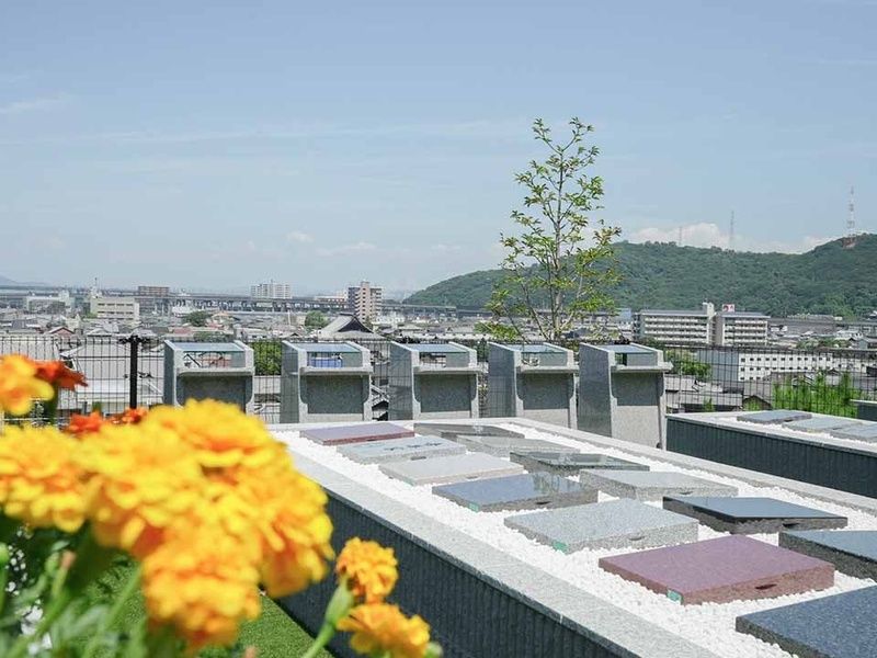 園内には美しい花々が咲き誇ります。
