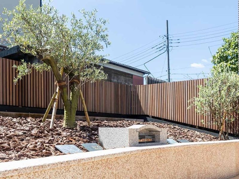 シンボルのオリーブの木のもとで、自然へと還る樹木葬