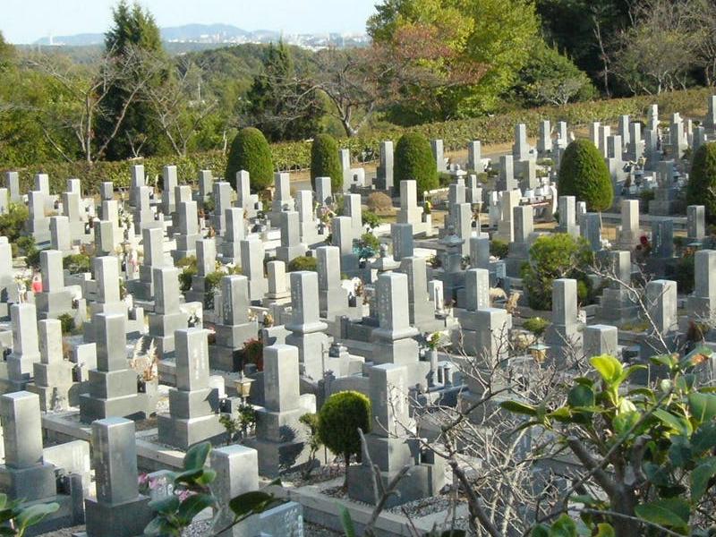 手つかずの自然の中で、ゆっくり眠ることができます