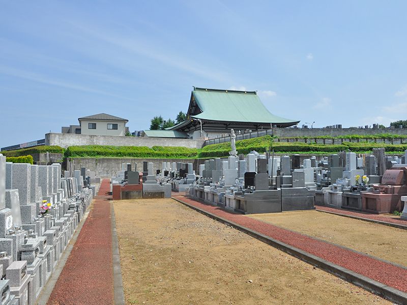 ヒルズ川口