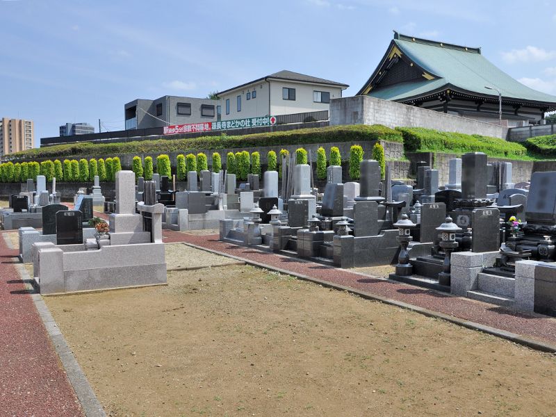 ヒルズ川口