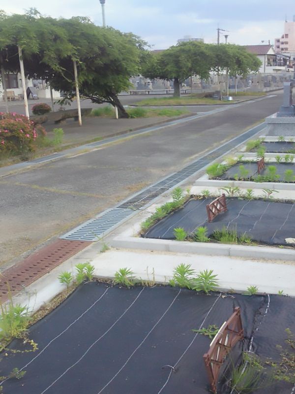 東大阪市営 荒本墓地　整理された区画