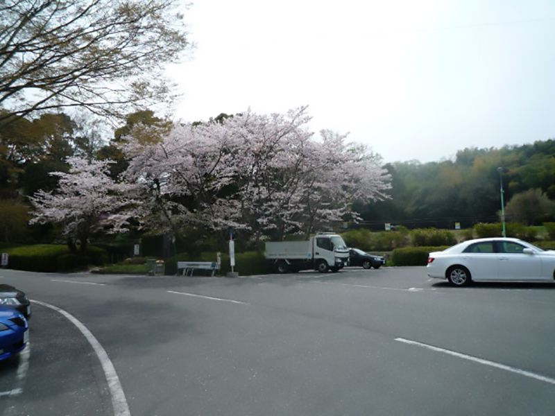 パークフォレスト鉢ヶ峯　駐車スペース