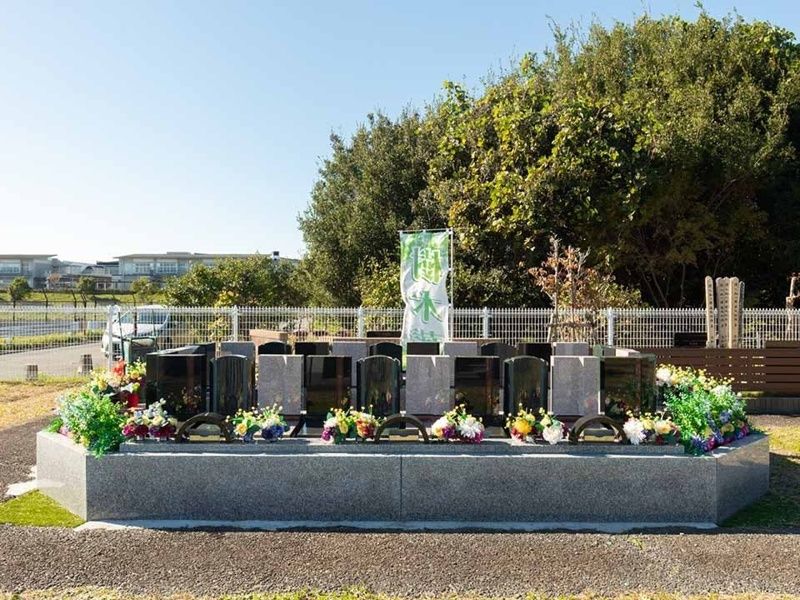 Beautiful Life 大網白里