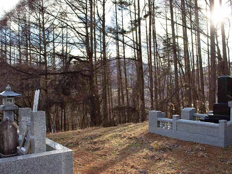 木々に包まれた自然環境