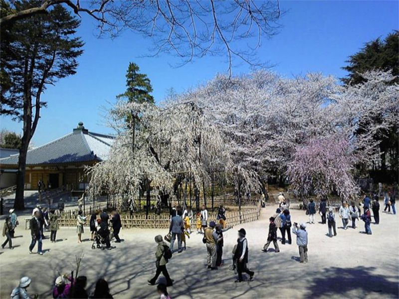 弘法寺