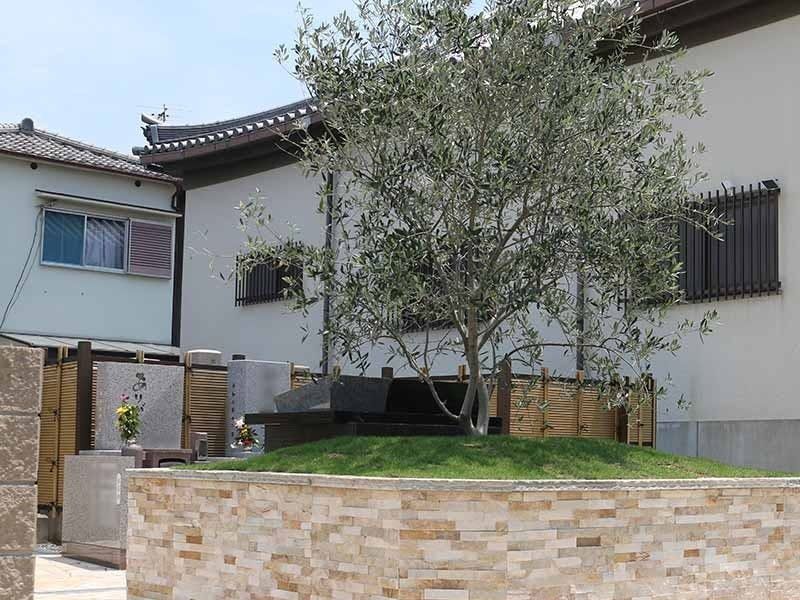 延光寺 永代供養付樹木葬・合祀墓・一般墓
