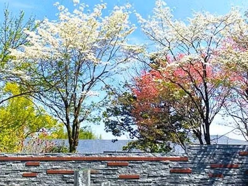 前橋そらにわ墓苑(樹木葬)