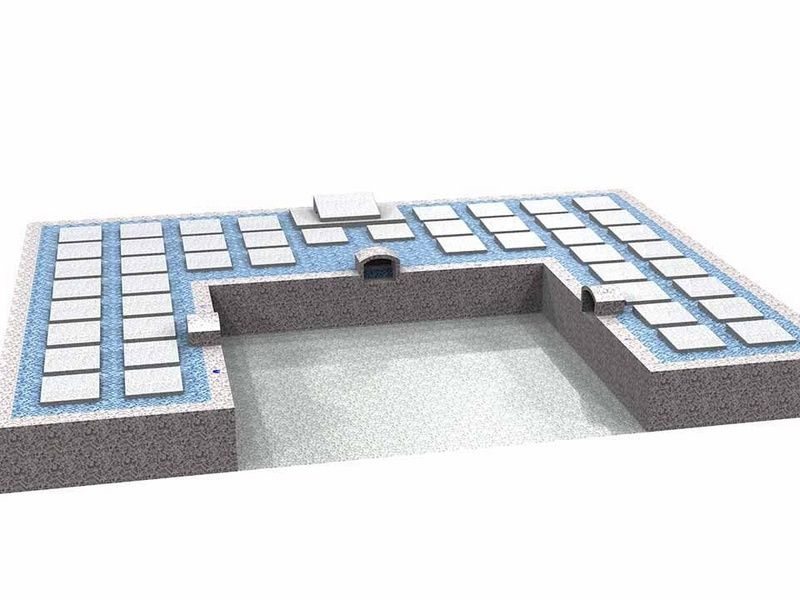 樹木葬 イメージ