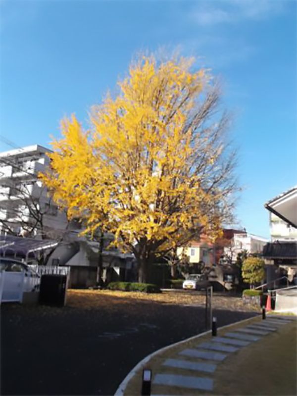 真覚山 菩提院 西光寺