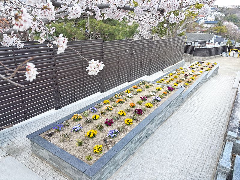 ペットと入れる樹木葬