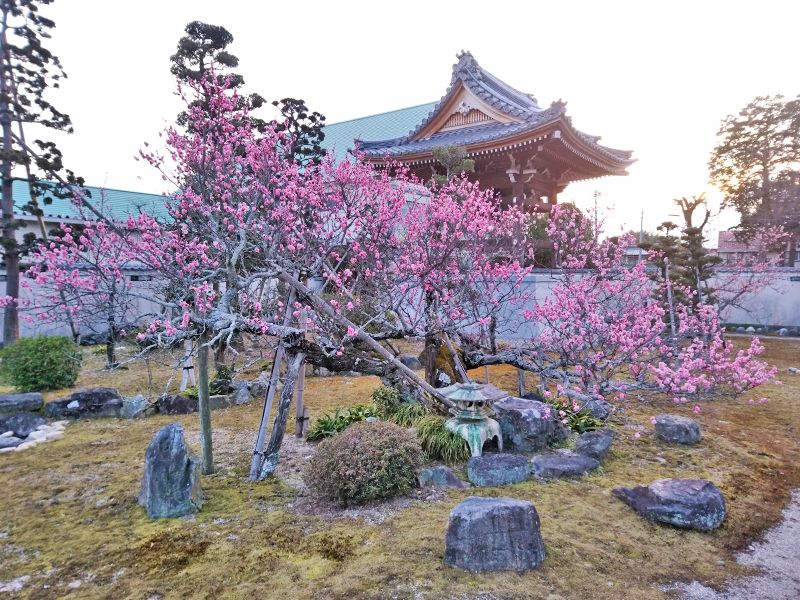 常光寺