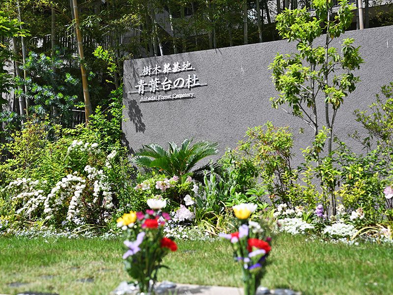 青葉台の杜