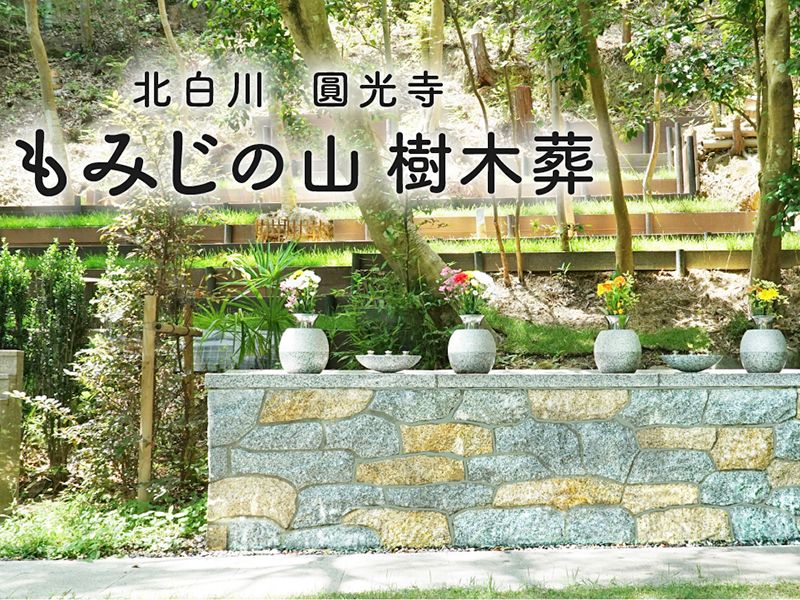北白川 圓光寺 もみじの山樹木葬