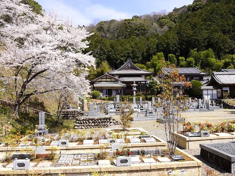 ブルームヒルやまがた