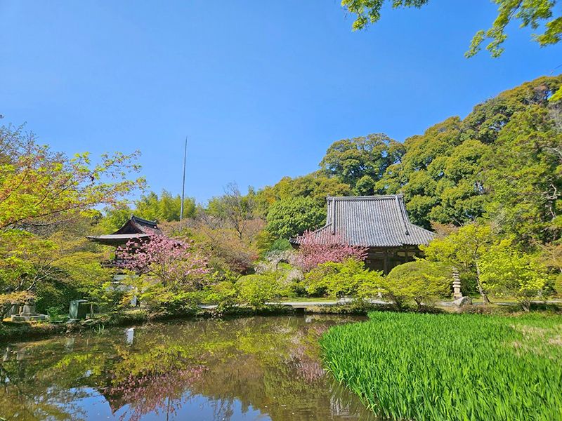 長岳寺 のうこつぼ