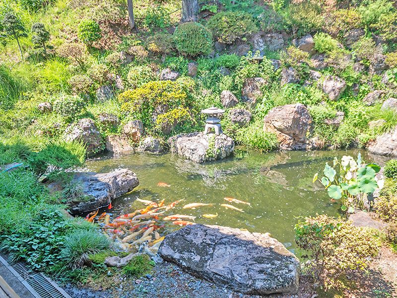 池のある庭園