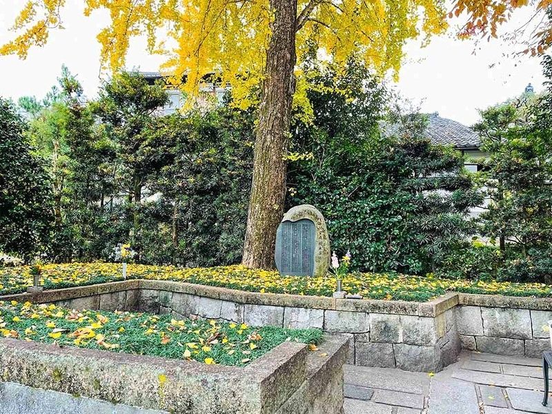 樹木葬 黄葉の季、光とともに眠るイチョウ区画