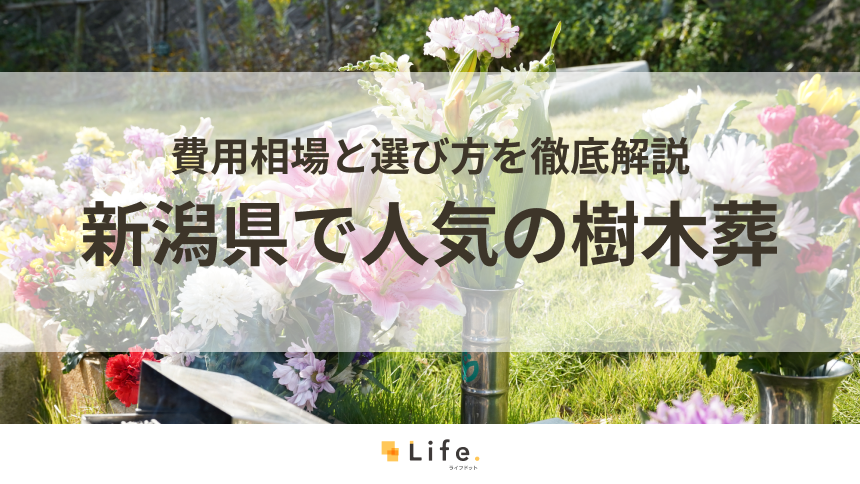 【解説付き】新潟県で人気の樹木葬3選！費用相場と選び方を徹底解説