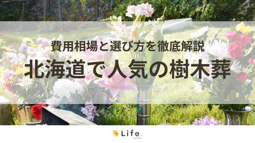 【解説付き】北海道で人気の樹木葬5選！費用相場と選び方を徹底解説