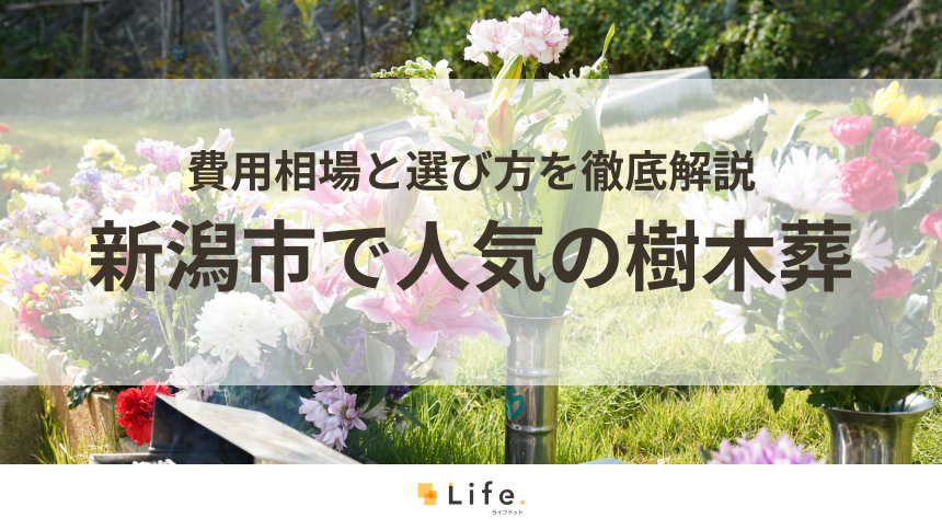 【解説付き】新潟市で人気の樹木葬をご紹介！費用相場と選び方を徹底解説