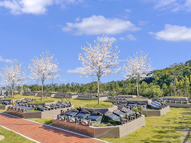 桜の木の下で眠る「樹木葬さくら」