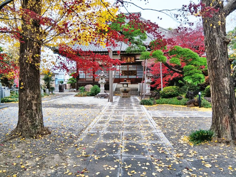 熊谷 樹木葬 やすらぎ