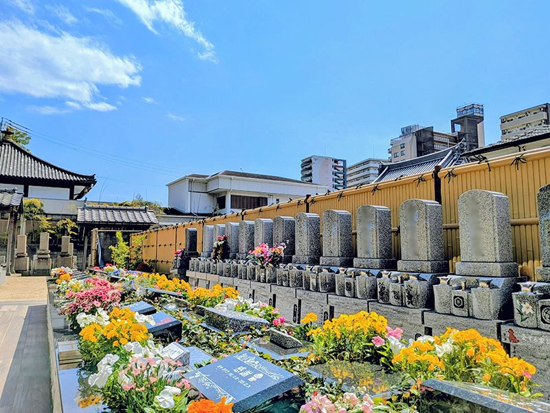 宗慶寺  永代供養墓・ガーデニング樹木葬・一般墓