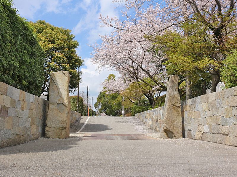 船橋昭和浄苑入口：春にはきれいな桜がお出迎えいたします