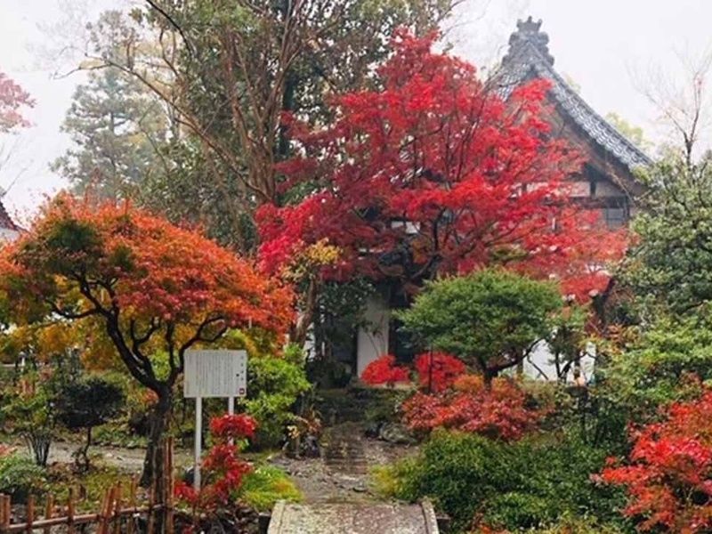 瑞雲山 古長禅寺