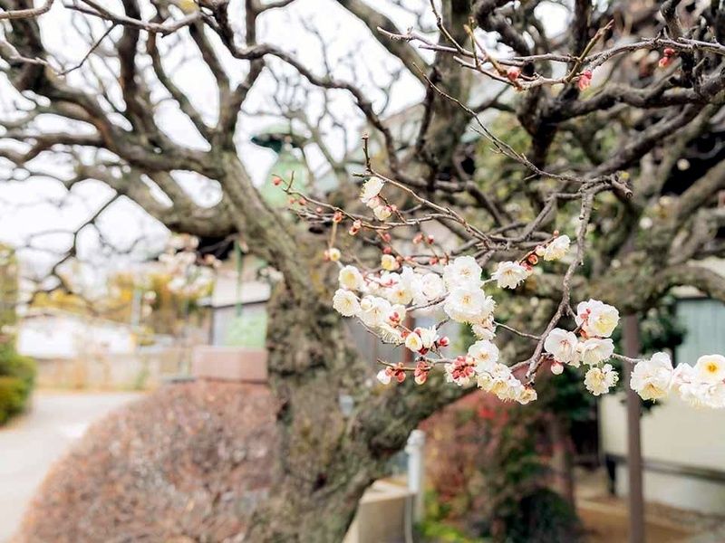 観音聖地霊園