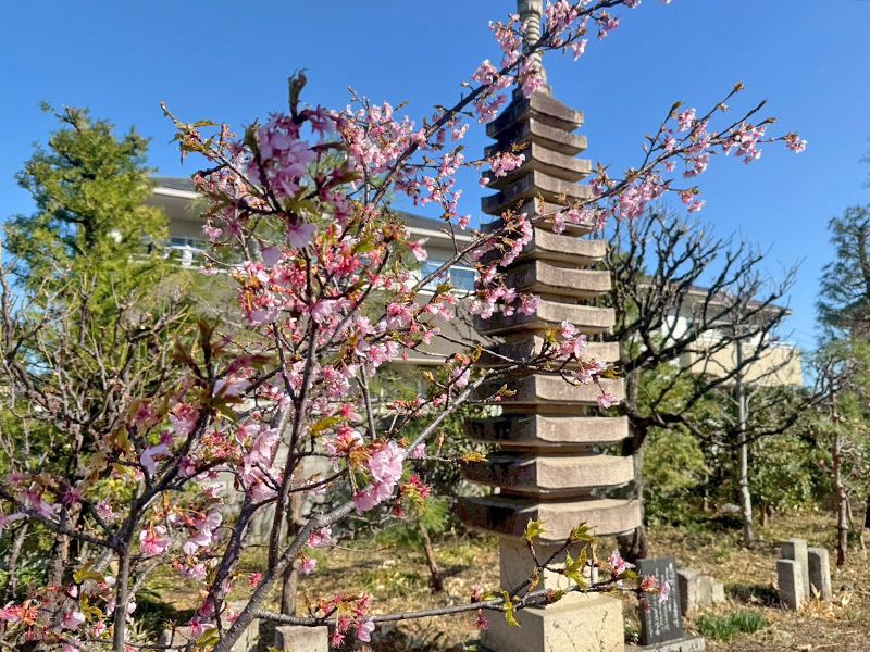 宝性寺 アーバン熊谷籠原樹木葬墓地