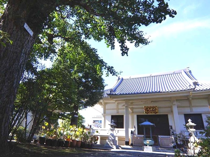 円光院「樹木葬墓おもかげ」