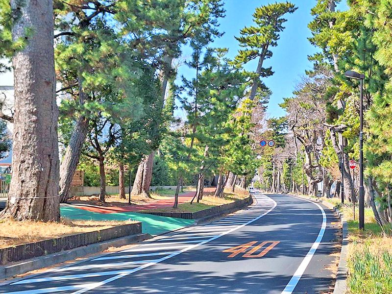 旧東海道松並木・お寺から徒歩約2分