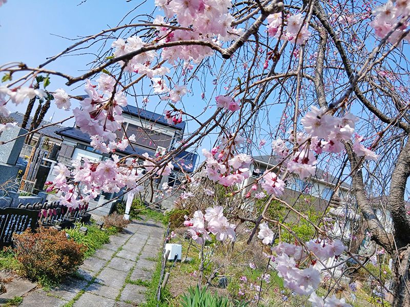 宝性寺 アーバン熊谷籠原樹木葬墓地