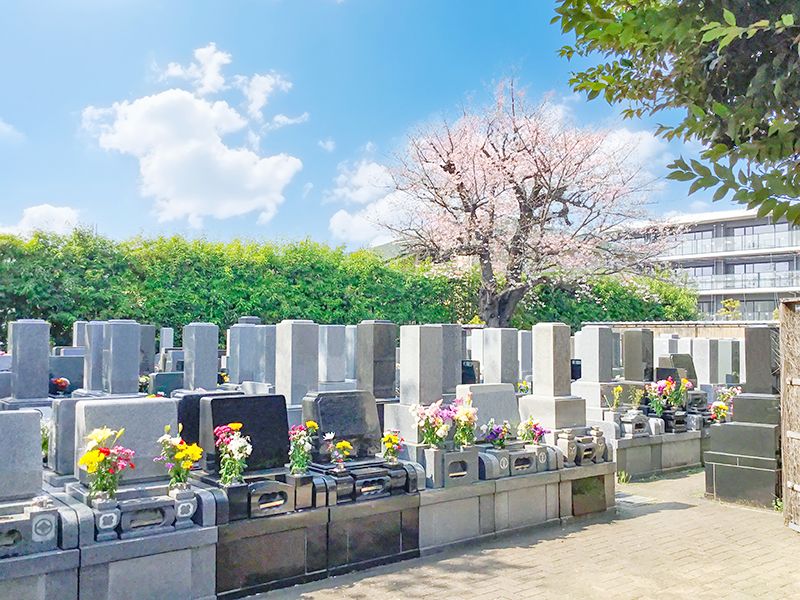 墓域