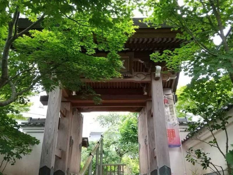 飯盛山 青苔寺