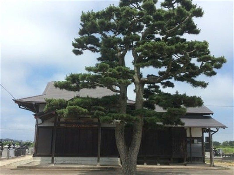 高照寺
