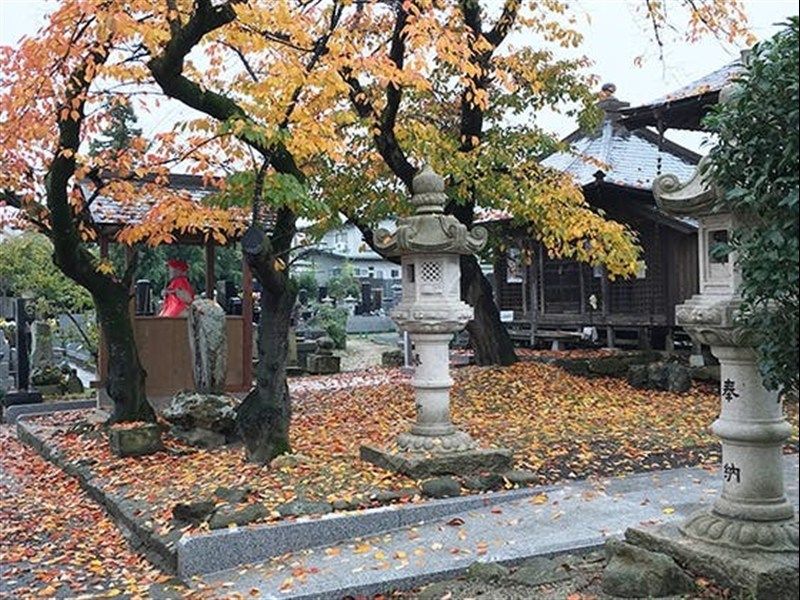 明智寺